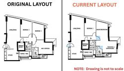 tivela photo thumbnail #1